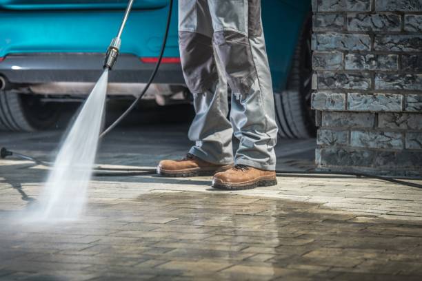 Best Spring Cleaning  in Roanoke, IN