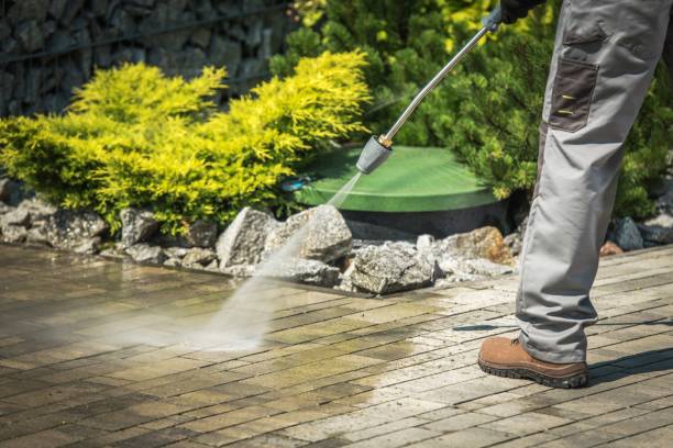 Best Pre-Holiday Cleaning  in Roanoke, IN