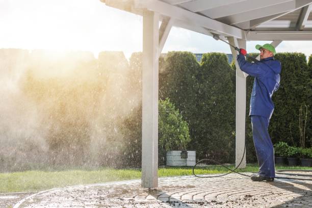 Best Pool Deck Cleaning  in Roanoke, IN